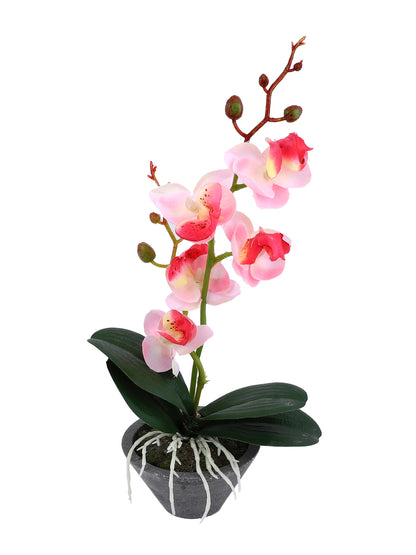Grey 1 Pieces Orchid Artificial Plant With Pot