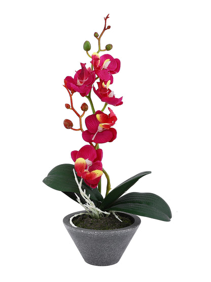 Grey 1 Pieces Orchid Artificial Plant With Pot