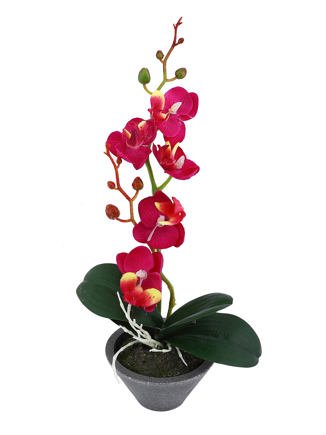 Grey 1 Pieces Orchid Artificial Plant With Pot