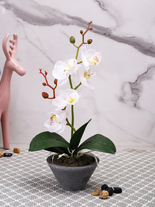 Grey 1 Pieces Orchid Artificial Plant With Pot