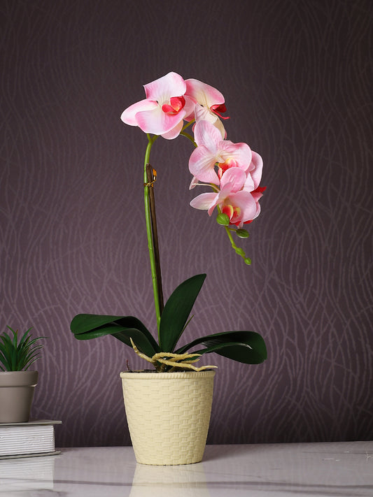Beige 1 Pieces Orchid Artificial Plant With Pot