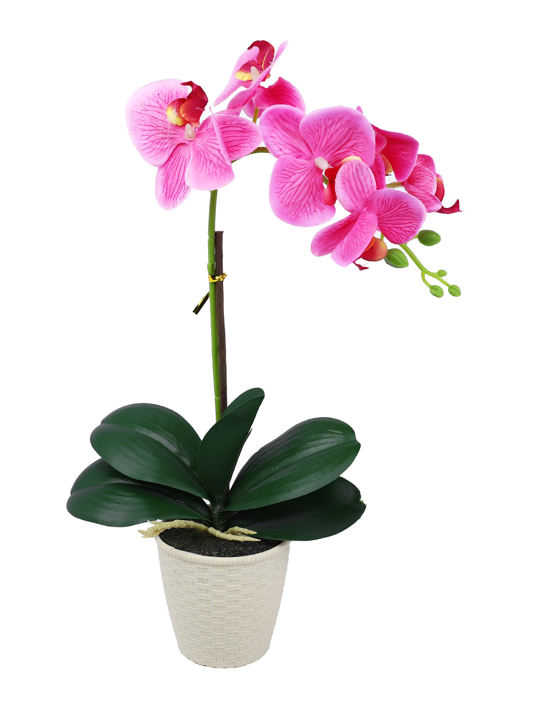 Beige 1 Pieces Orchid Artificial Plant With Pot