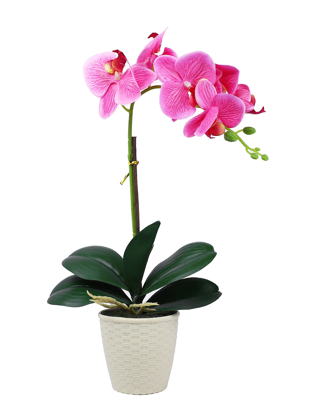 Beige 1 Pieces Orchid Artificial Plant With Pot