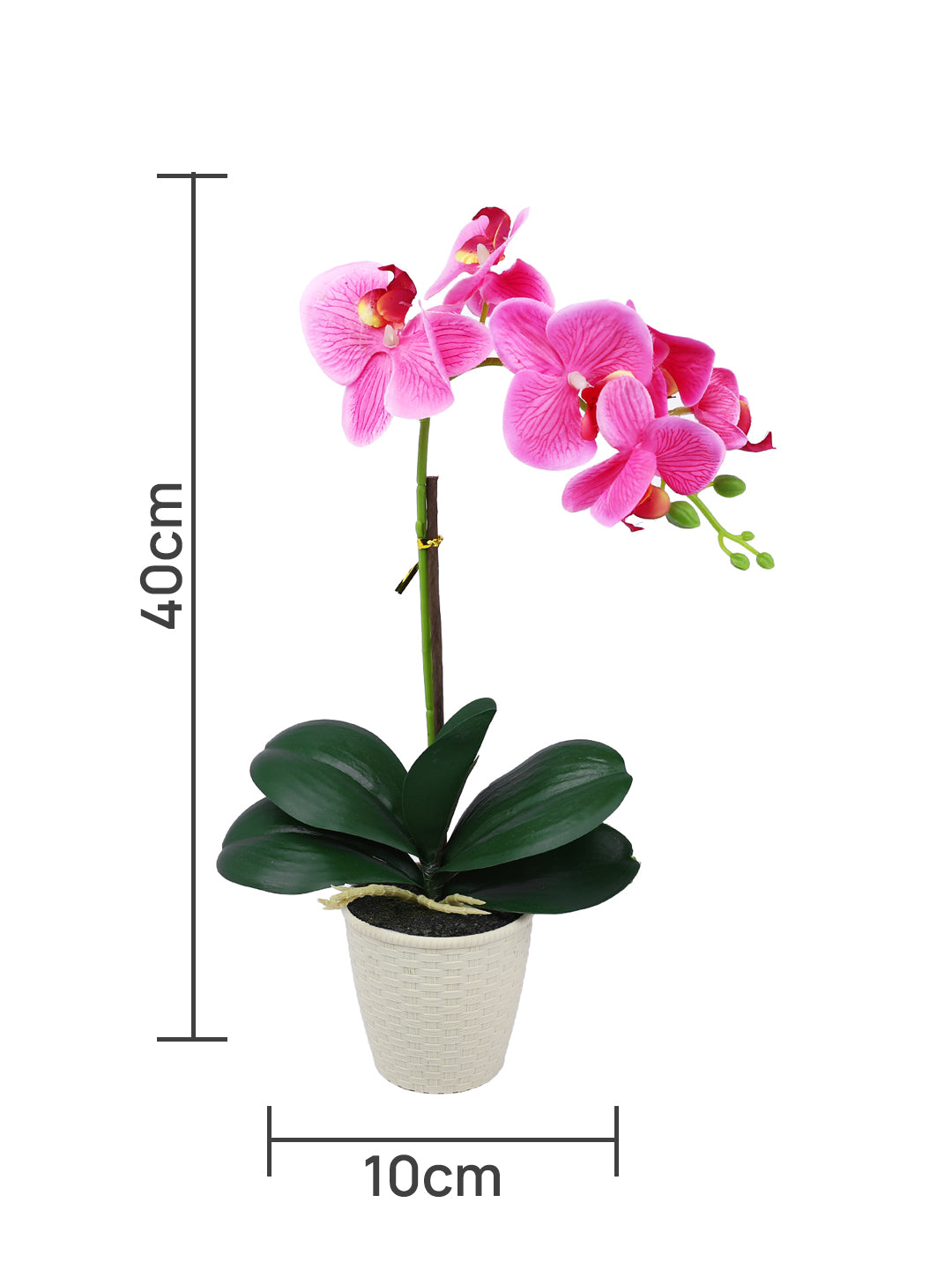 Beige 1 Pieces Orchid Artificial Plant With Pot