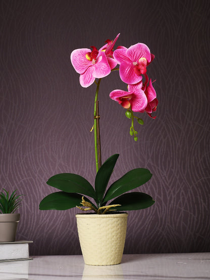Beige 1 Pieces Orchid Artificial Plant With Pot