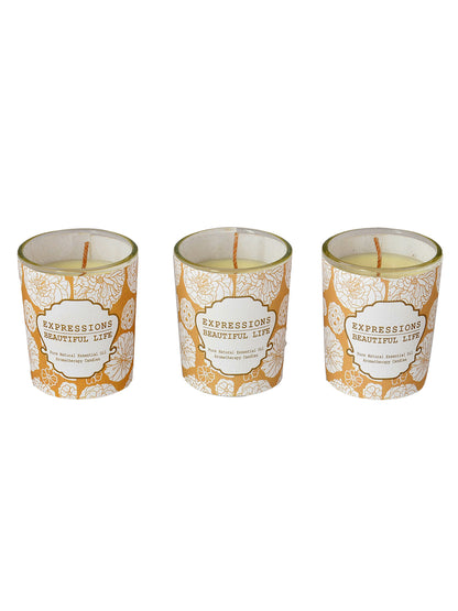 Set of 3 Aroma Fusion Illuminated candle