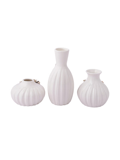 Three White Beautiful and Serene Vases