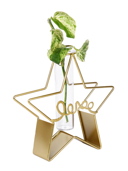 Transparent Metal & Glass Star Shaped Flower Vase