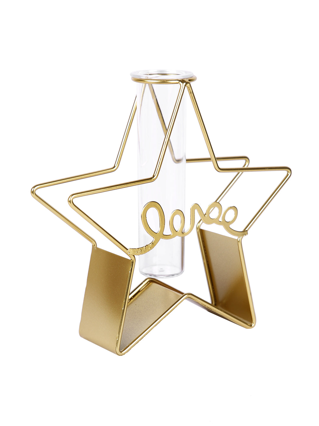 Transparent Metal & Glass Star Shaped Flower Vase