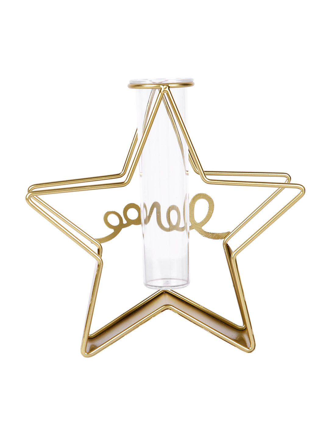 Transparent Metal & Glass Star Shaped Flower Vase
