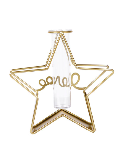 Transparent Metal & Glass Star Shaped Flower Vase