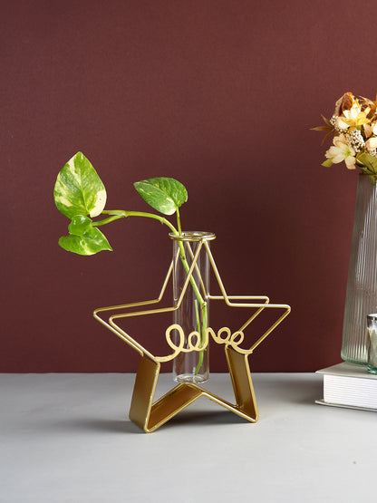 Transparent Metal & Glass Star Shaped Flower Vase