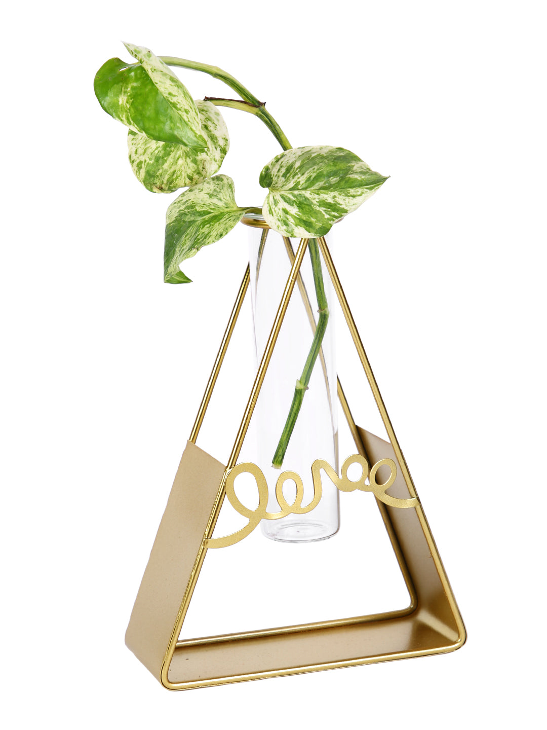 Transparent Metal & Glass Flower Vase