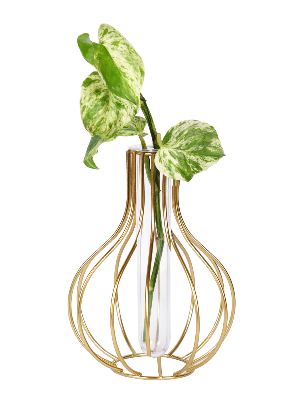 Transparent Metal & Glass Flower Vase