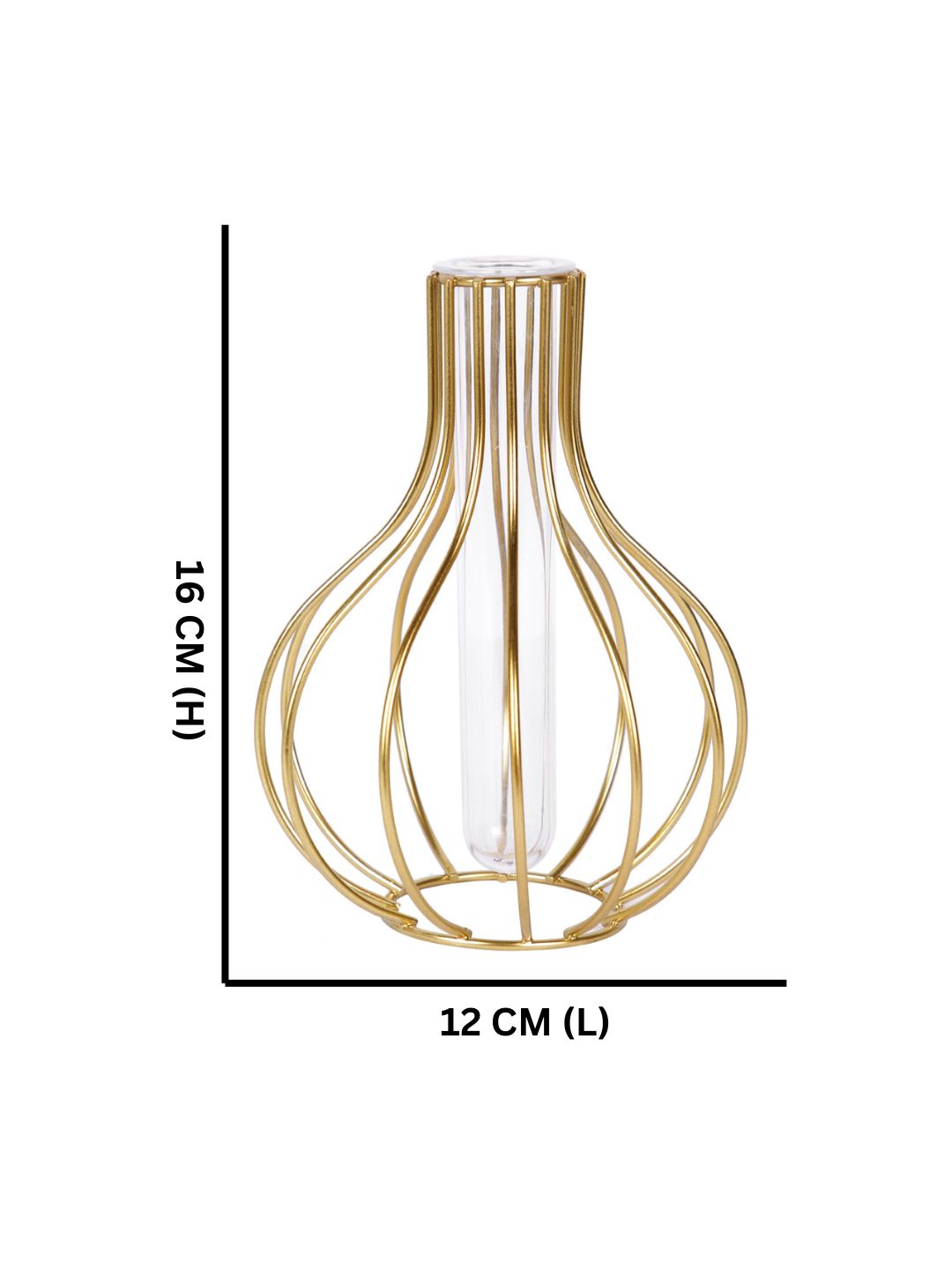 Transparent Metal & Glass Flower Vase