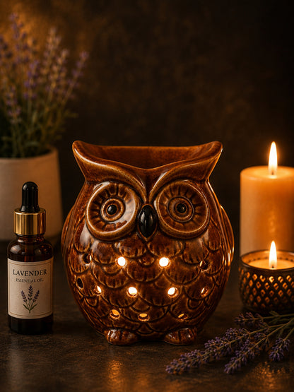 Brown Ceramic Owl Aroma OilDiffusers
