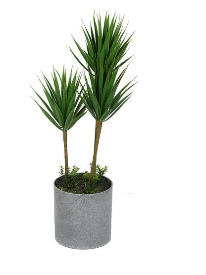 Green Plastic Artificial Plant with ABS Plastic Pot - Default Title (APL18278)