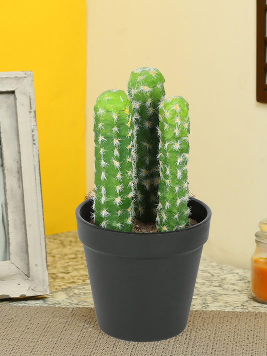 Artificial Plastic Cactus with ABS Plastic Pot - Default Title (APL18293)