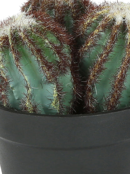 Artificial Plastic Cactus with ABS Plastic Pot - Default Title (APL18294)