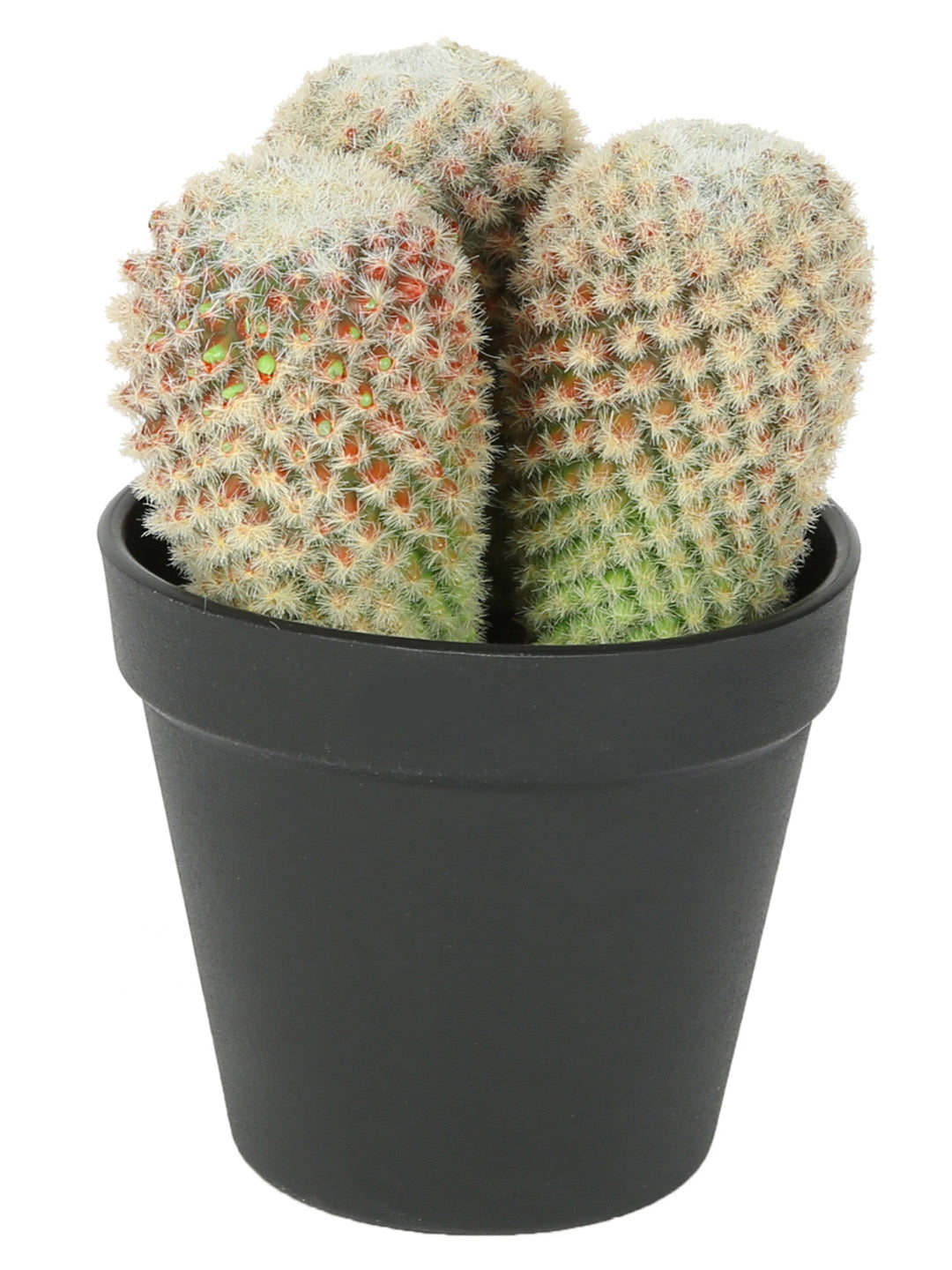 Artificial Plastic Cactus with ABS Plastic Pot - Default Title (APL18295)
