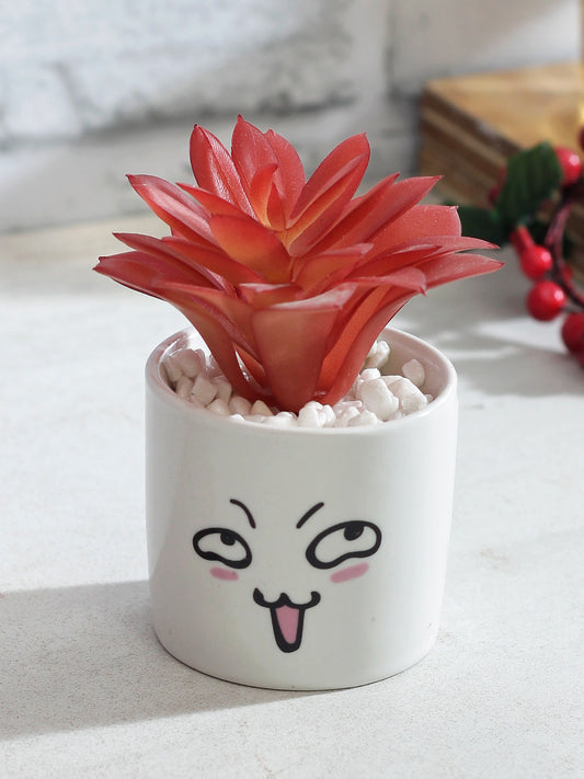 Red Succulent Plant With White Pot - Default Title (APL20172A)