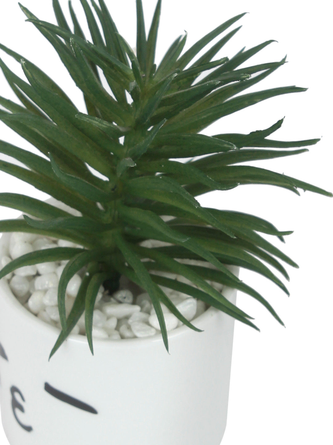 Green Succulent Plant With White Pot - Default Title (APL20172D)