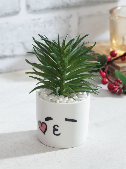 Green Succulent Plant With White Pot - Default Title (APL20172D)