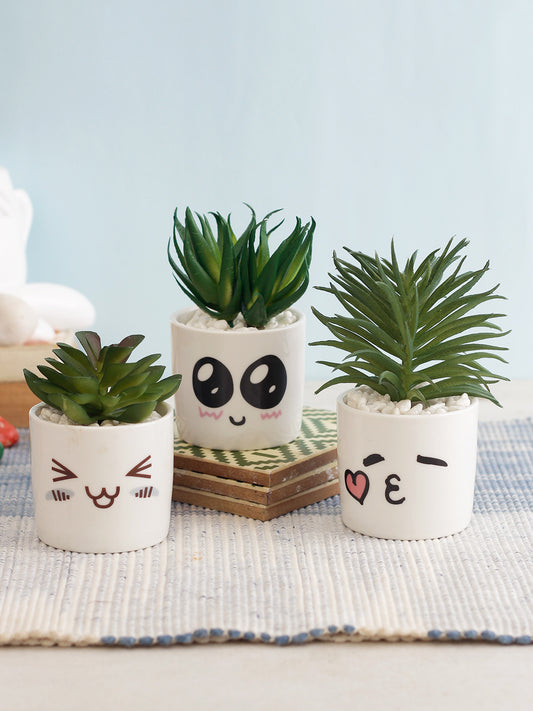 Set of 3 Green Succulent Plant With White Pots - Default Title (APL20172H_3)