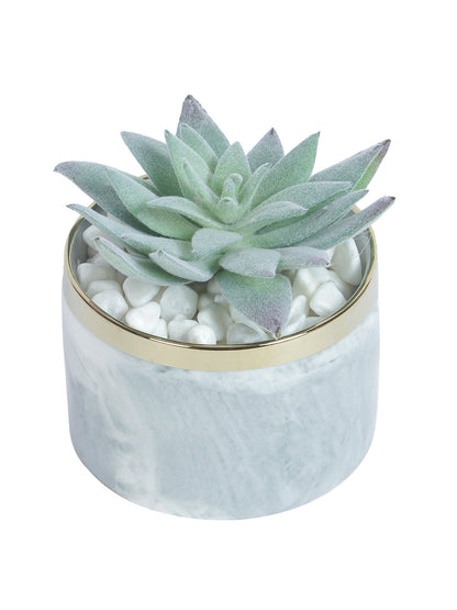 Green and White Artificial Succulent with Plastic Pot - Default Title (APL20173C)