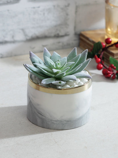 Green and White Artificial Succulent with Plastic Pot - Default Title (APL20173C)