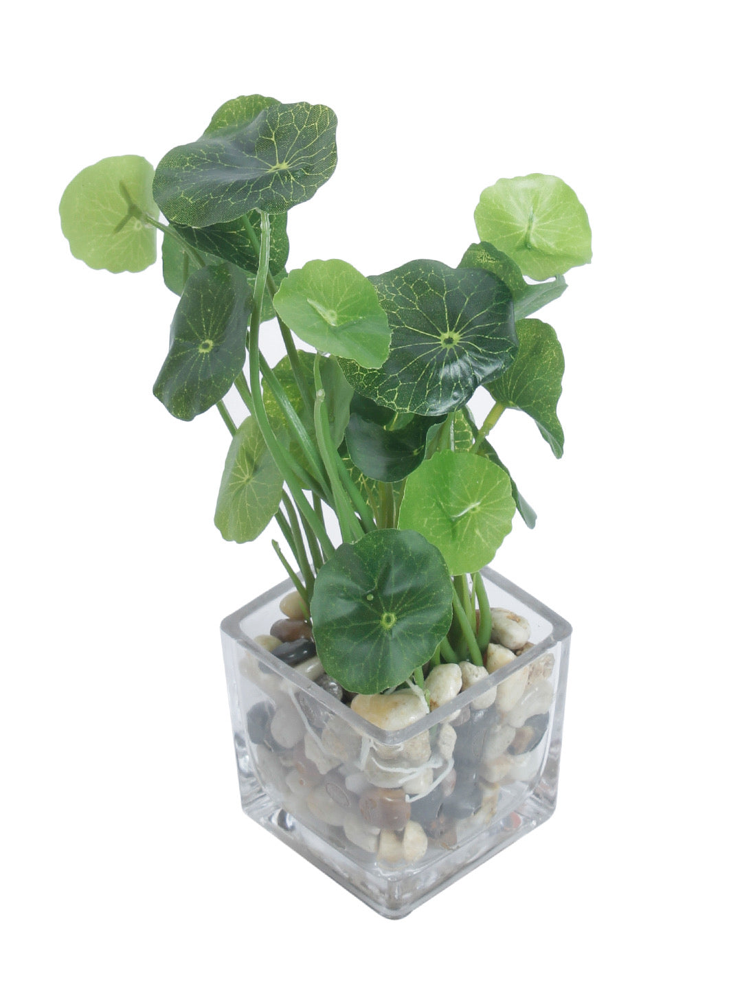 Green Artificial Leaf Philodendron Silk Plant with White Glass Pot - Default Title (APL20176C)