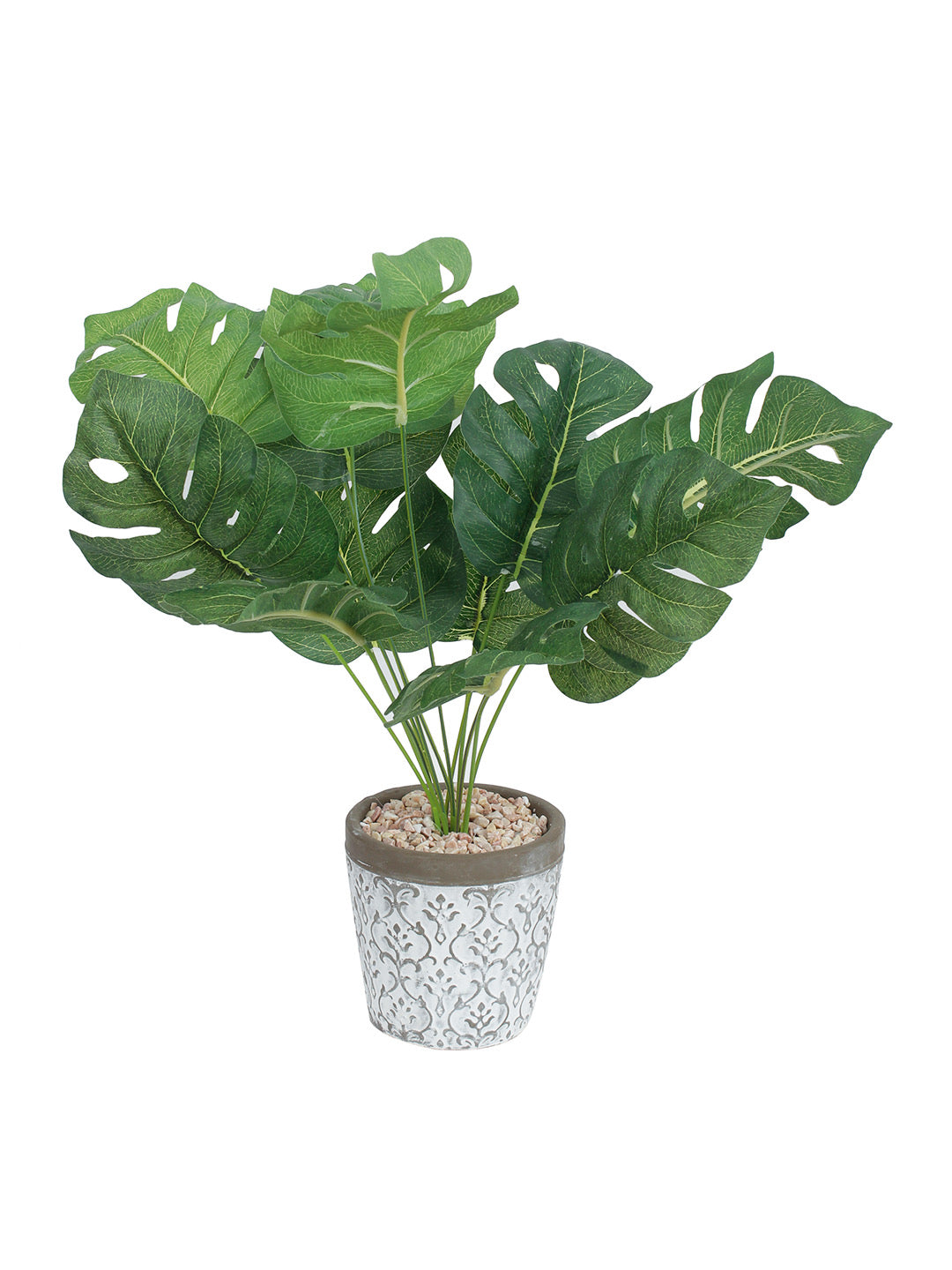 Green Artificial Philo Cut Leaf Plant with White Pot - Default Title (APL20182)