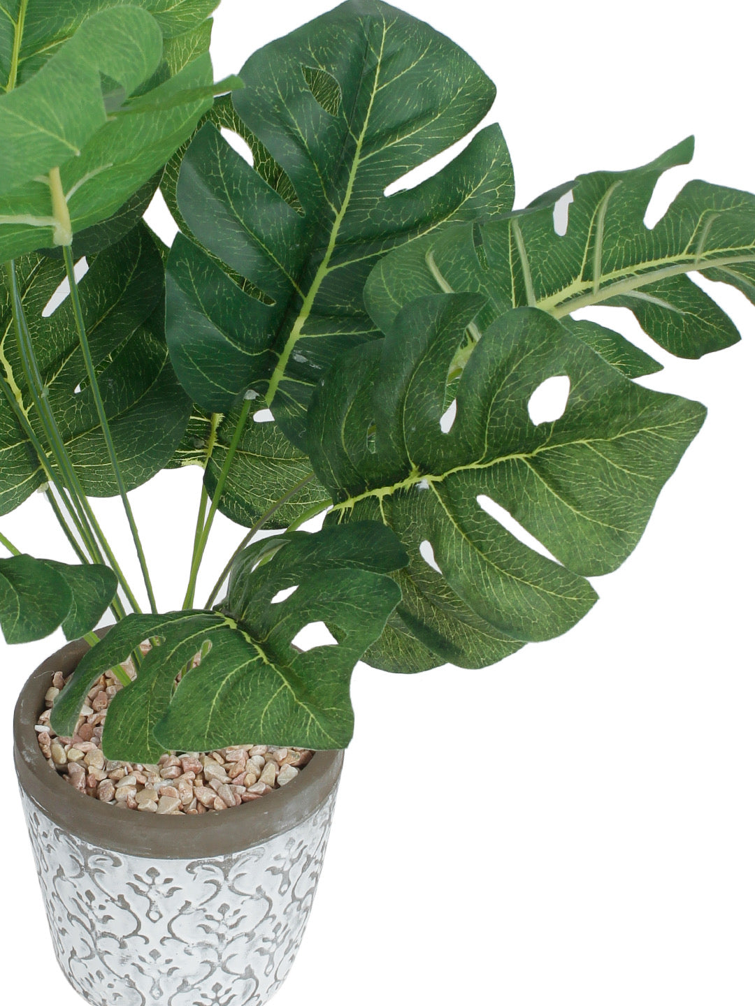 Green Artificial Philo Cut Leaf Plant with White Pot - Default Title (APL20182)