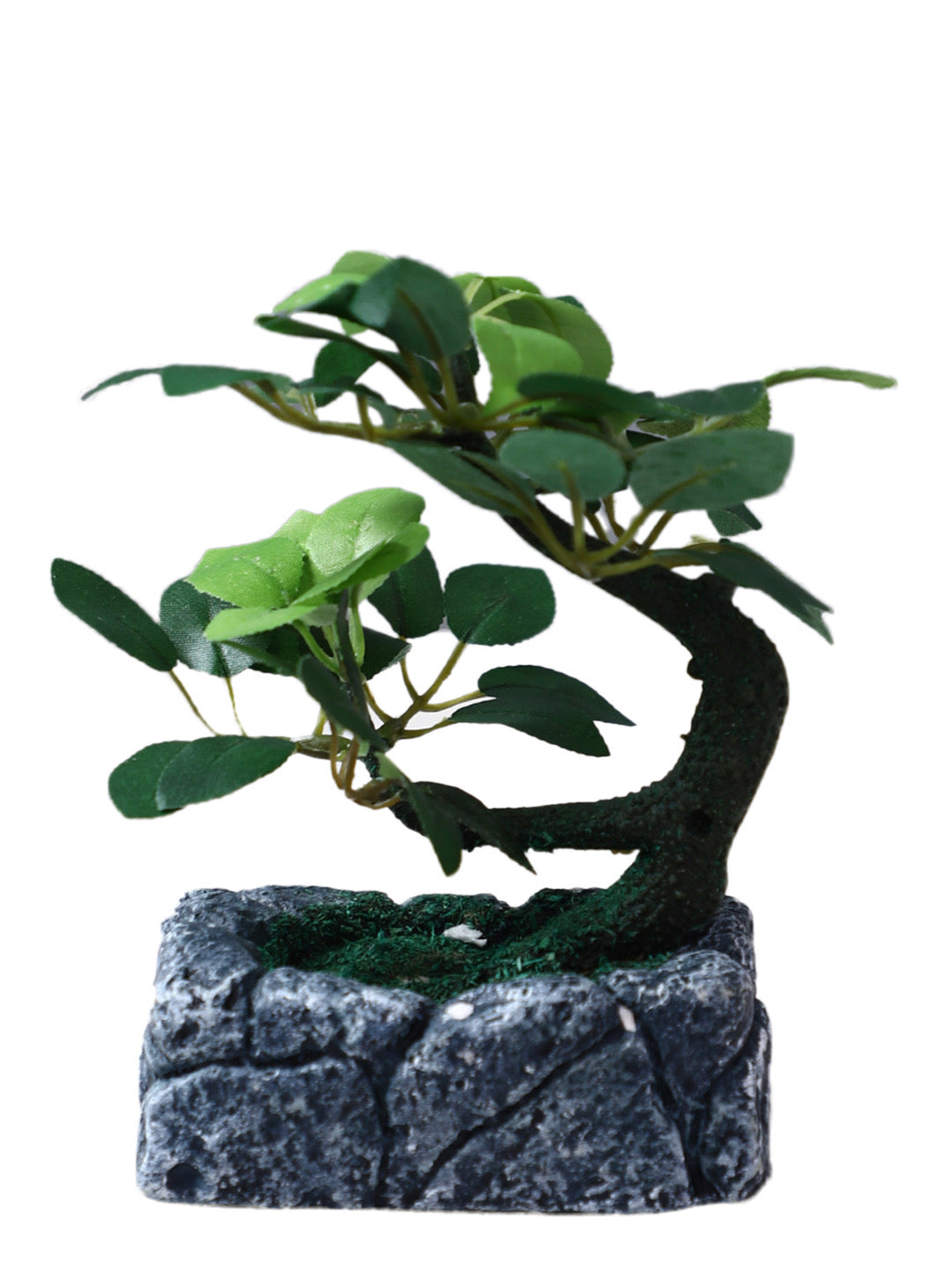 Petite but Stylish Vibrant Decoraive Bonsai Plant - Default Title (APL20207)