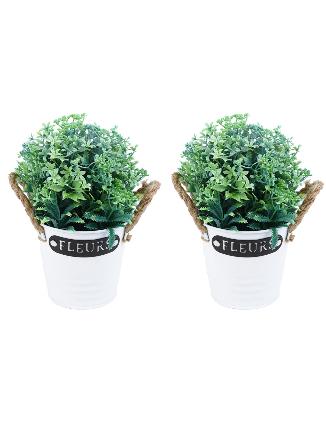 Set of 2 Pristine and Awe-struck Indoor Decorative Plants - Green - Default Title (APL2077GR_2)