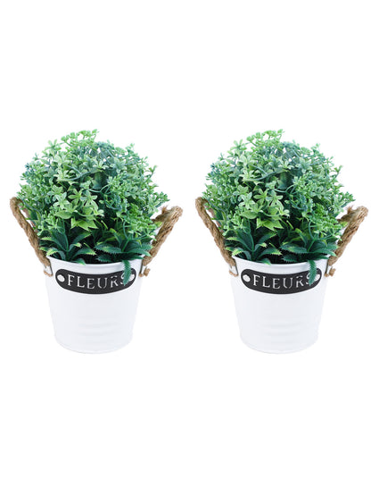 Set of 2 Pristine and Awe-struck Indoor Decorative Plants - Green - Default Title (APL2077GR_2)