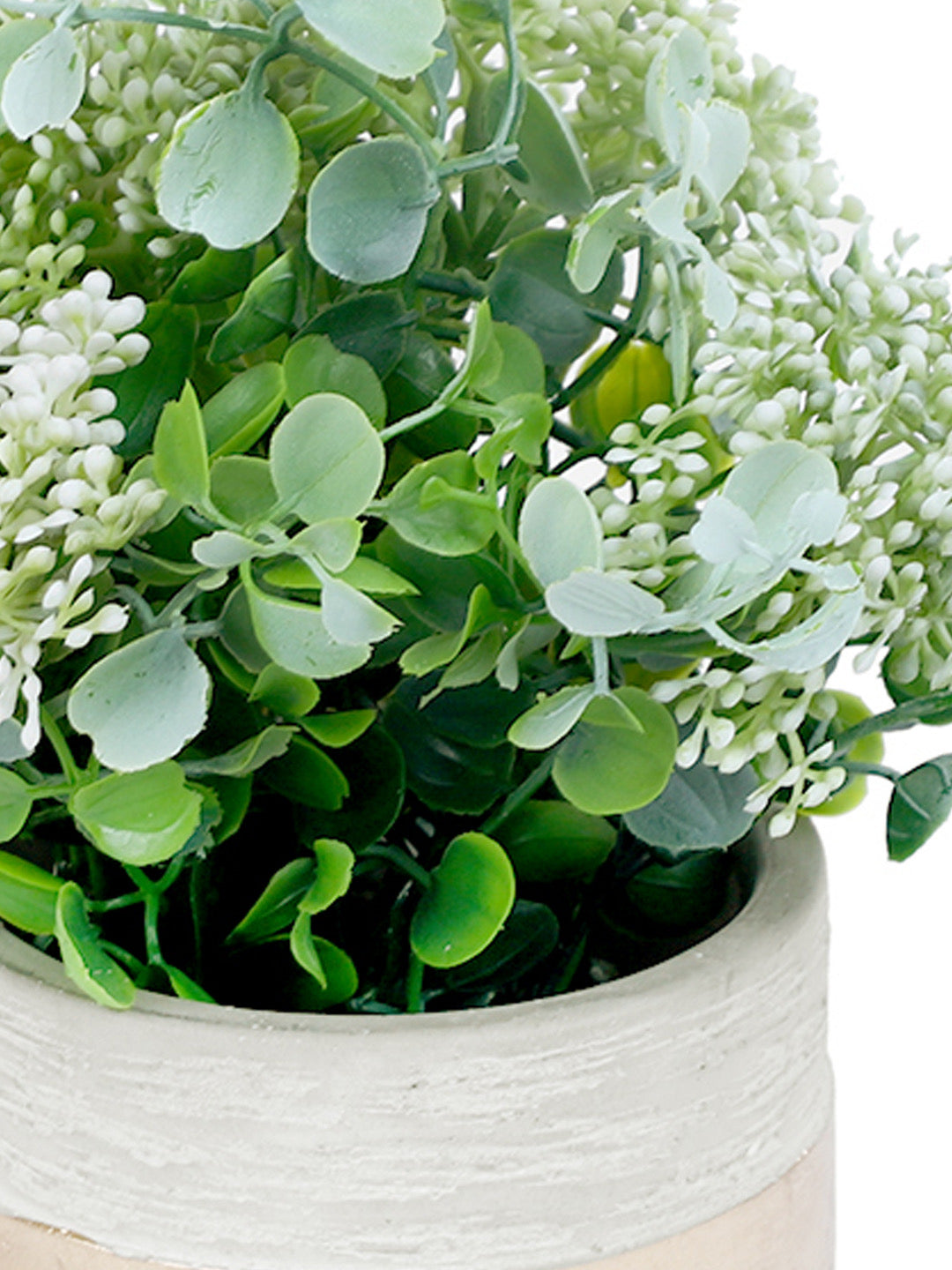 Verdant and Colourful Leafy House Plant-White - Default Title (APL2078WH)