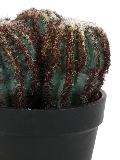 Close to nature Artificial cactus Plant for Interior Décor - Default Title (APL2118294)