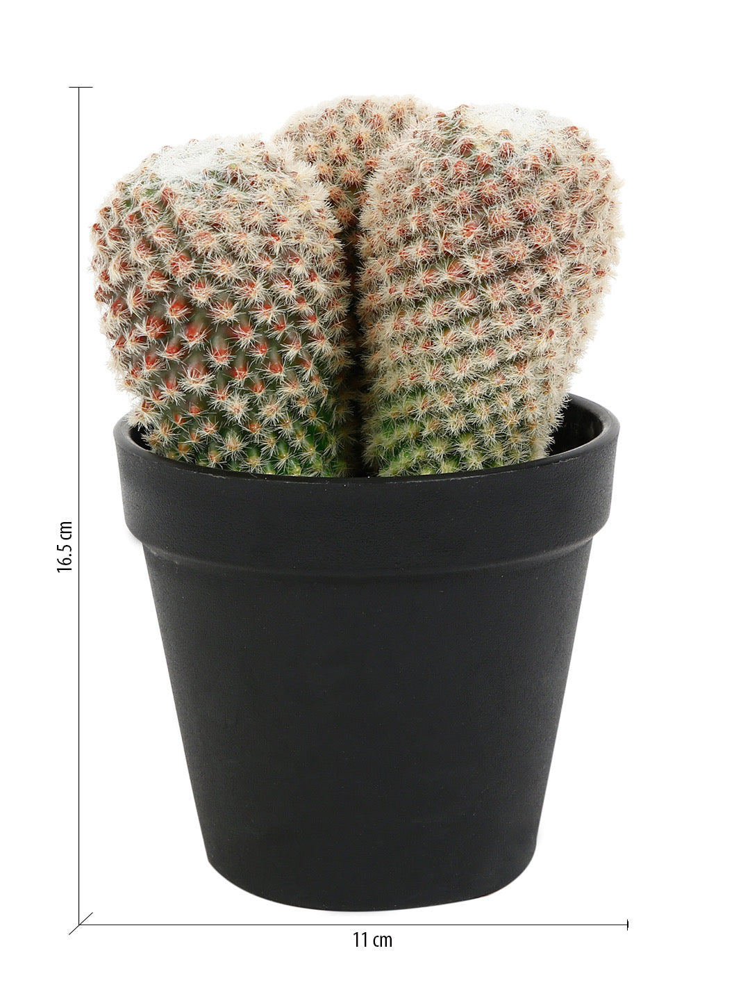 High Quality Artificial Cactus Plant for the room - Default Title (APL2118295)