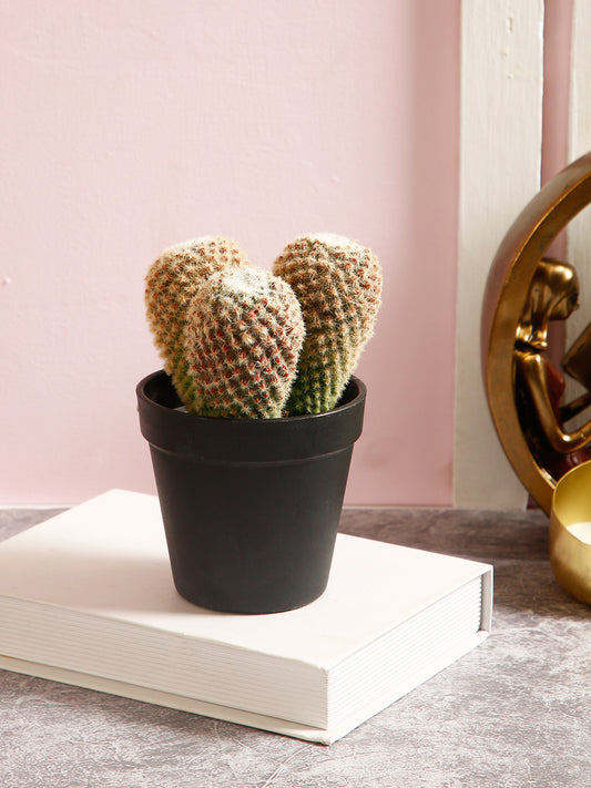 High Quality Artificial Cactus Plant for the room - Default Title (APL2118295)