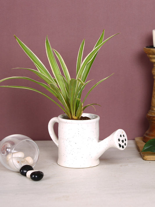 White Watering Can Shaped Mini Pot - Default Title (CERF2192)