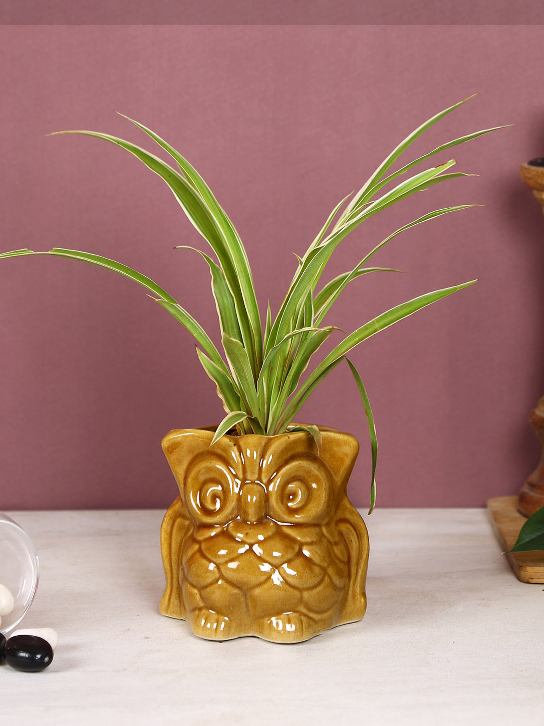 Brown Owl Shaped Pot for Plants - Default Title (CERF2198)