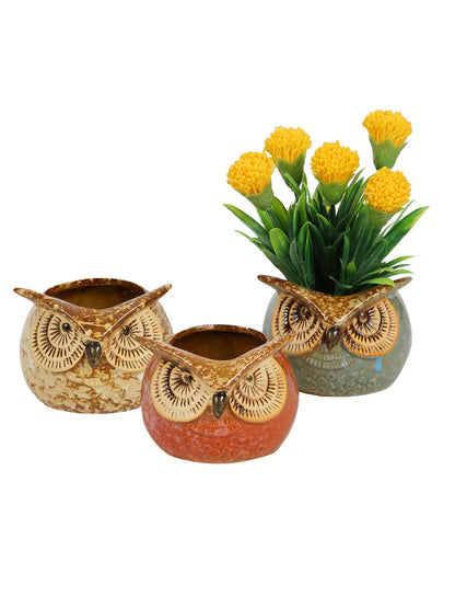 Multicolor Owl Design Ceramic Pot - Set of 3 - Default Title (CH18390A)