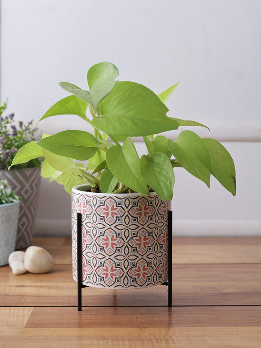 Honeycomb print Planter with Black Stand - Default Title (CH210041)