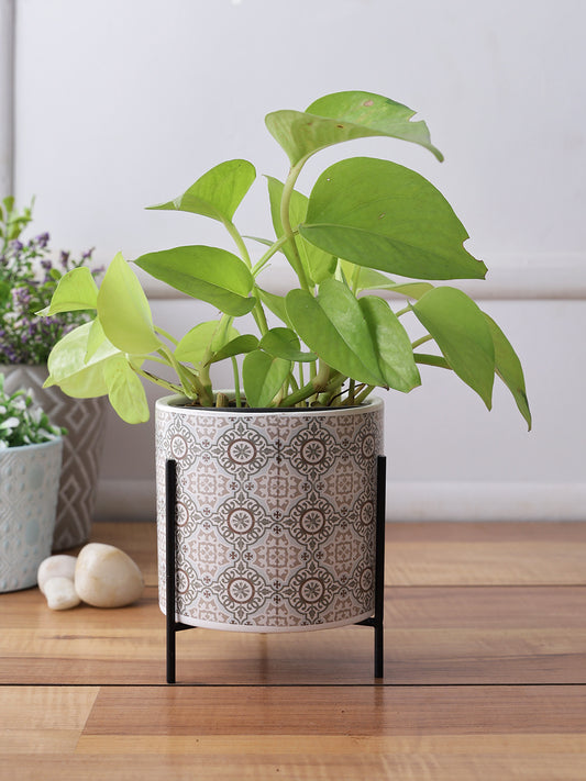 Honeycomb print Planter with Black Stand - Default Title (CH210043)