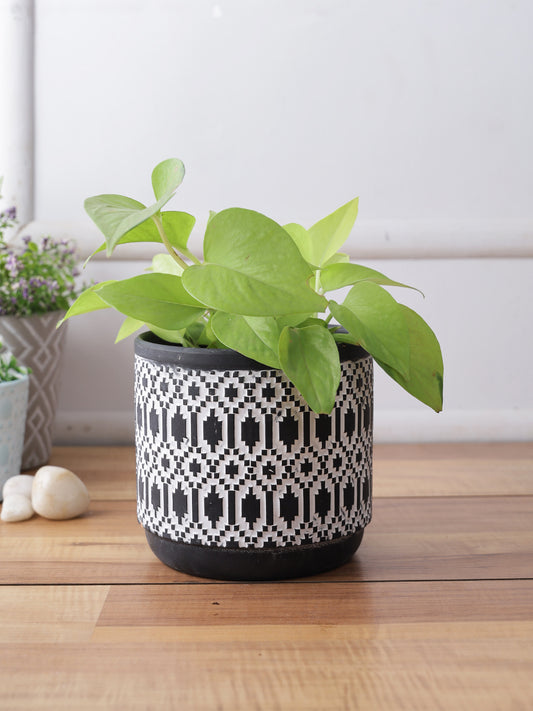 Black and white unique design planter - Default Title (CH210045)