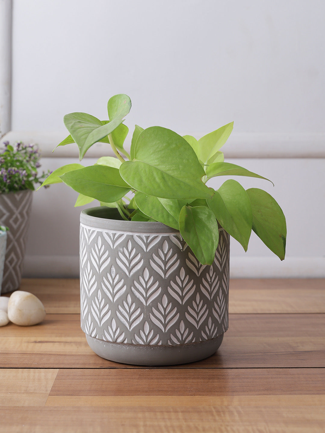 Classy and Chic Grey Hue Planter - Default Title (CH210057)