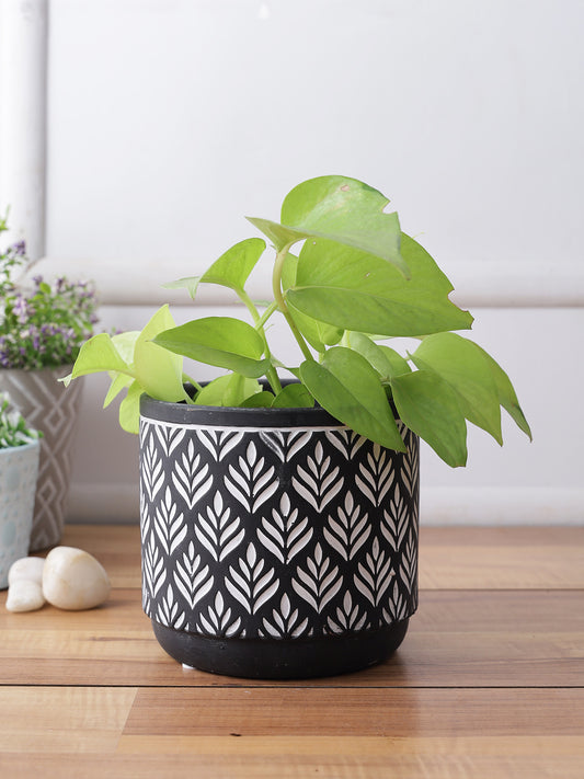 Classy and Chic Black Hue Planter - Default Title (CH210059)