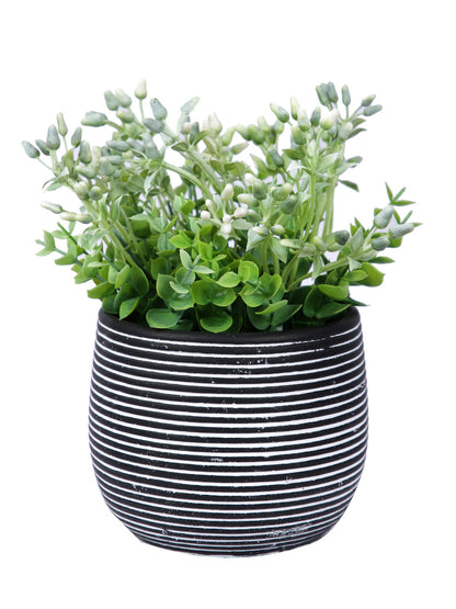 Spiral Design Ceramic Black Planter - Default Title (CHC22337BL)