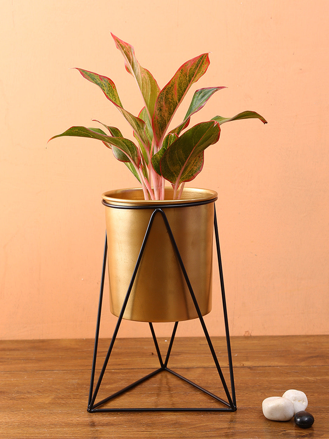 Metal Planter with Triangular Stand - Default Title (CHM2102)